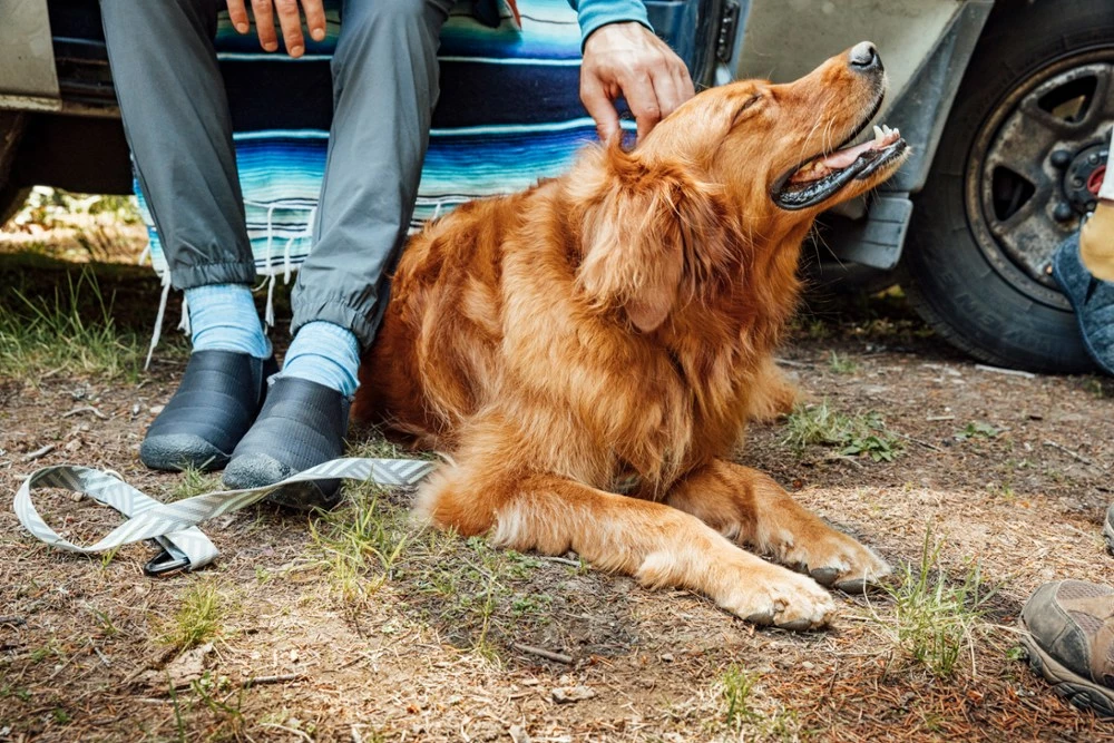 KEEN Howser II Slippers - Men's - Image 7